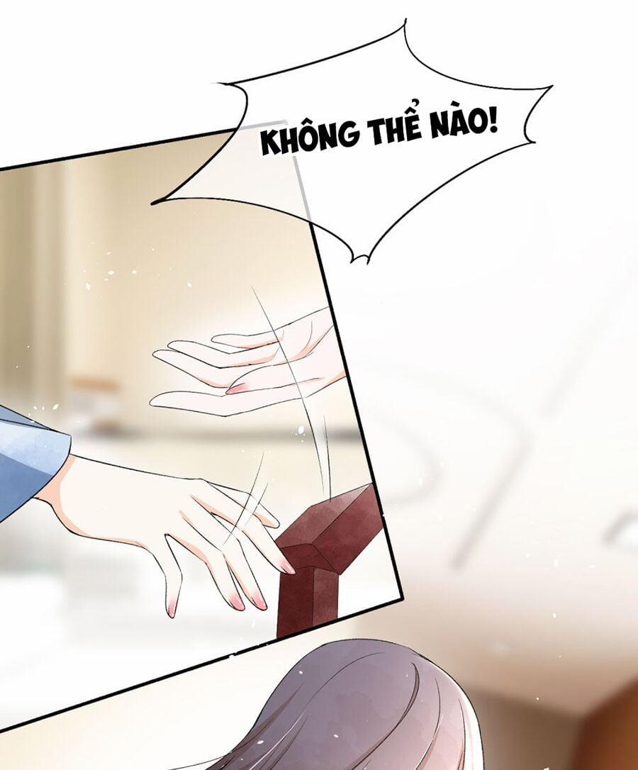 Cô Vợ Hợp Đồng Lạnh Lùng Không Dễ Đụng Đâu 49 trang 4