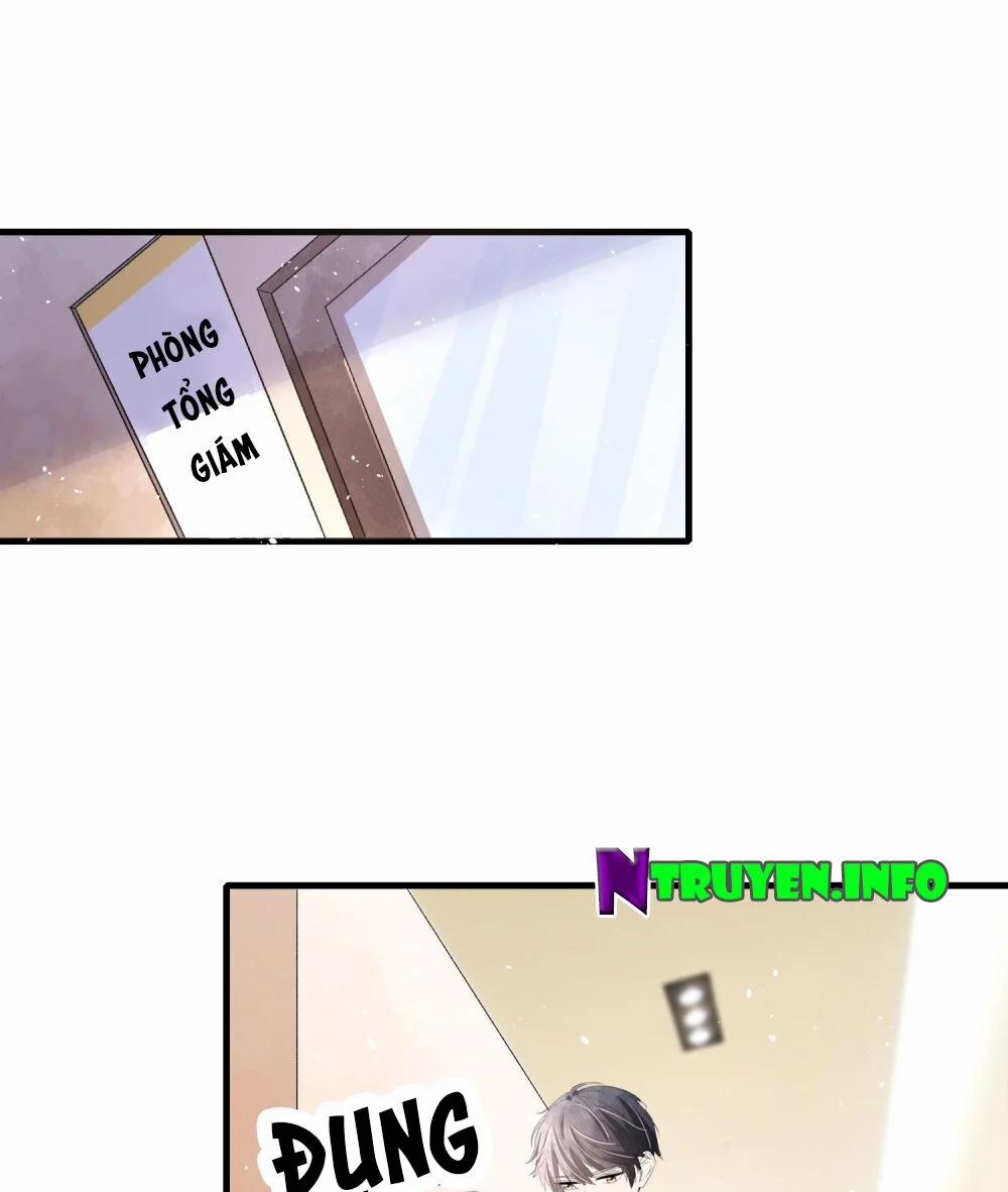 Cô Vợ Hợp Đồng Lạnh Lùng Không Dễ Đụng Đâu 51 trang 5