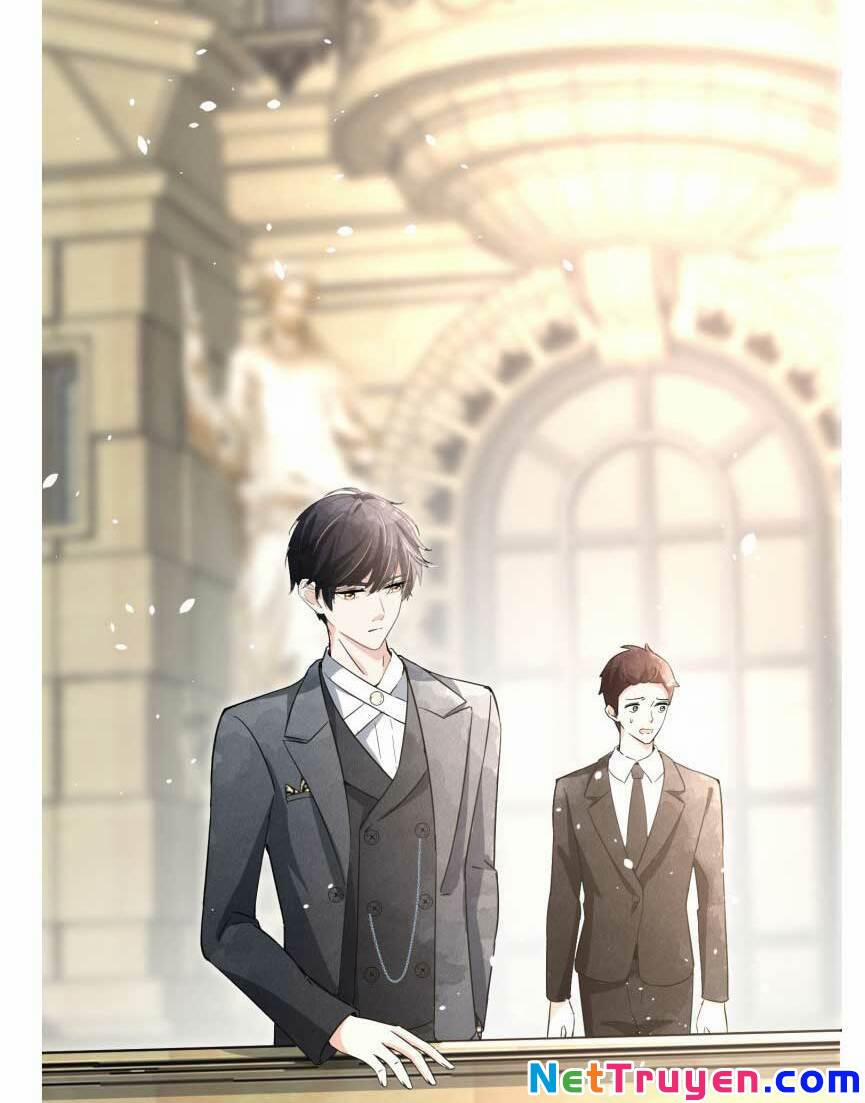 Cô Vợ Hợp Đồng Lạnh Lùng Không Dễ Đụng Đâu 64 trang 17