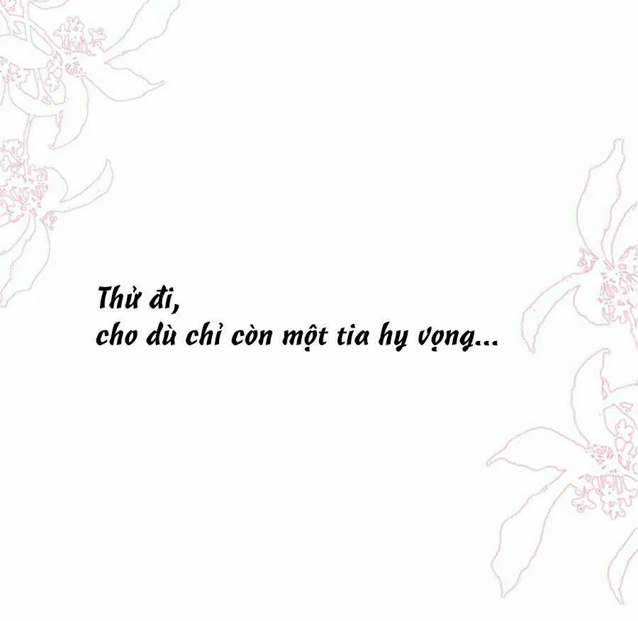 Cô Vợ Hợp Đồng Lạnh Lùng Không Dễ Đụng Đâu 7 trang 33