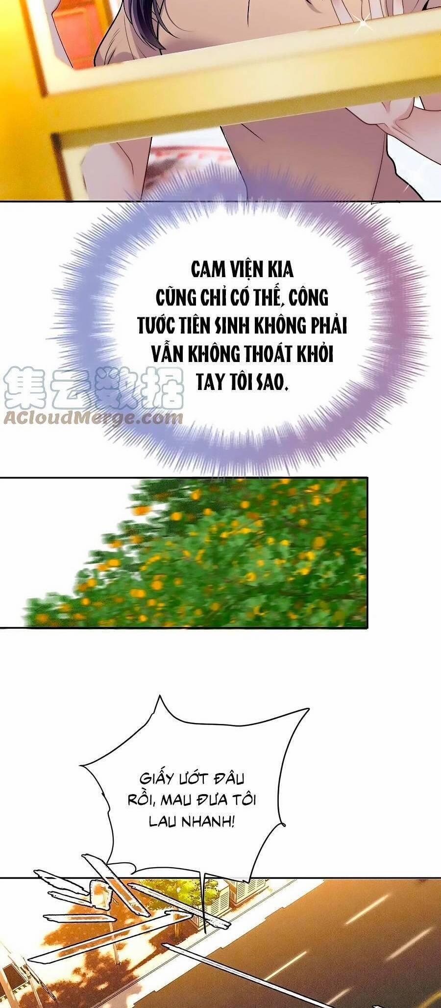 Cô Vợ Mang Thai Một Tặng Một 226 trang 26