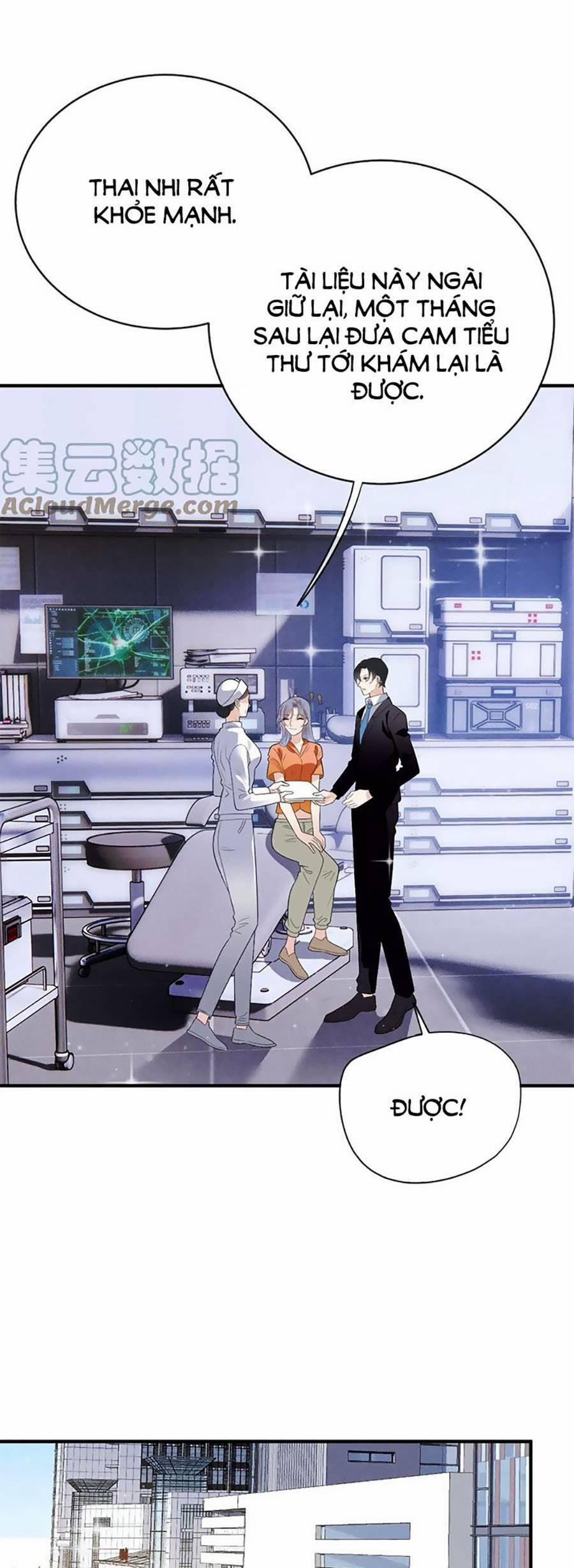 Cô Vợ Mang Thai Một Tặng Một 247 trang 8