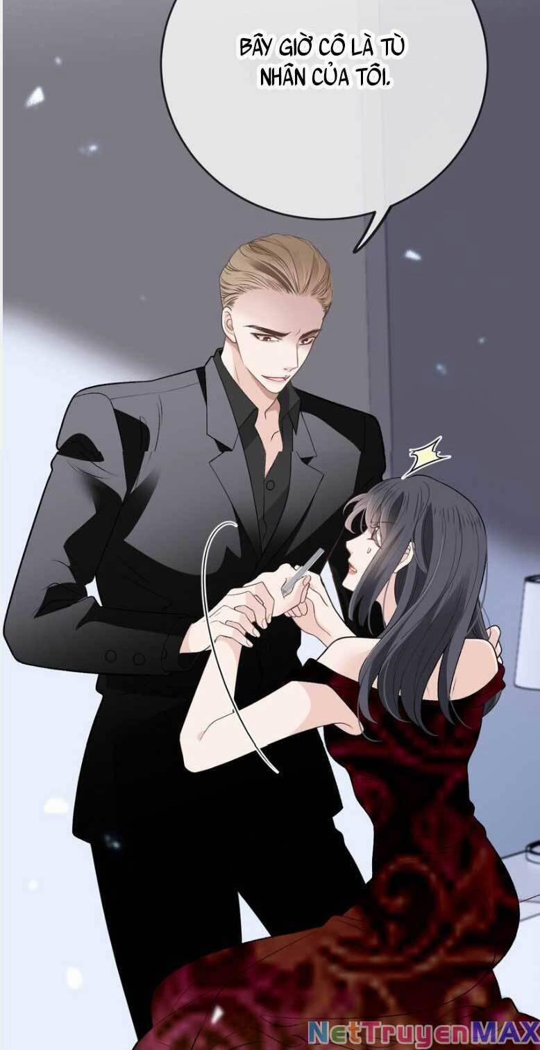 Cô Vợ Mang Thai Một Tặng Một 267 trang 12