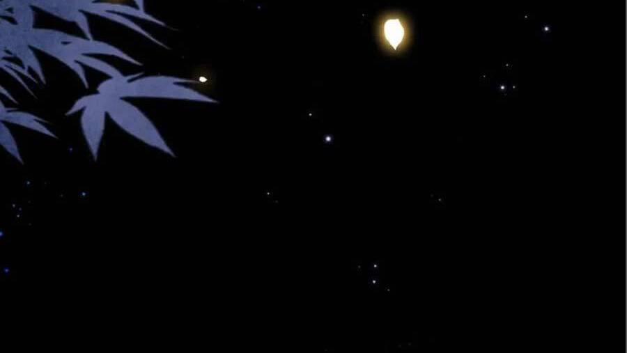 Cô Vương Quả Nữ 16 trang 16