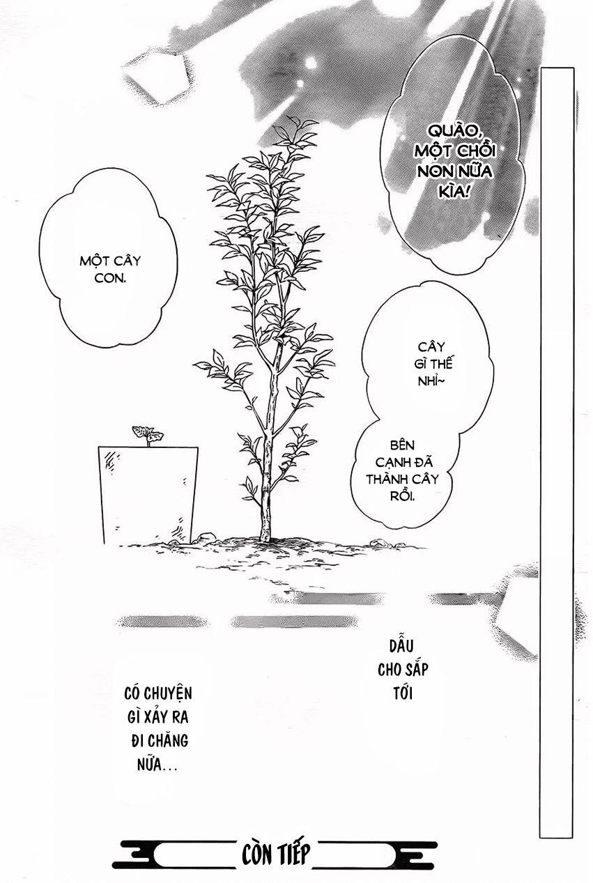 Colette Wa Shinu Koto Ni Shita 64 trang 29