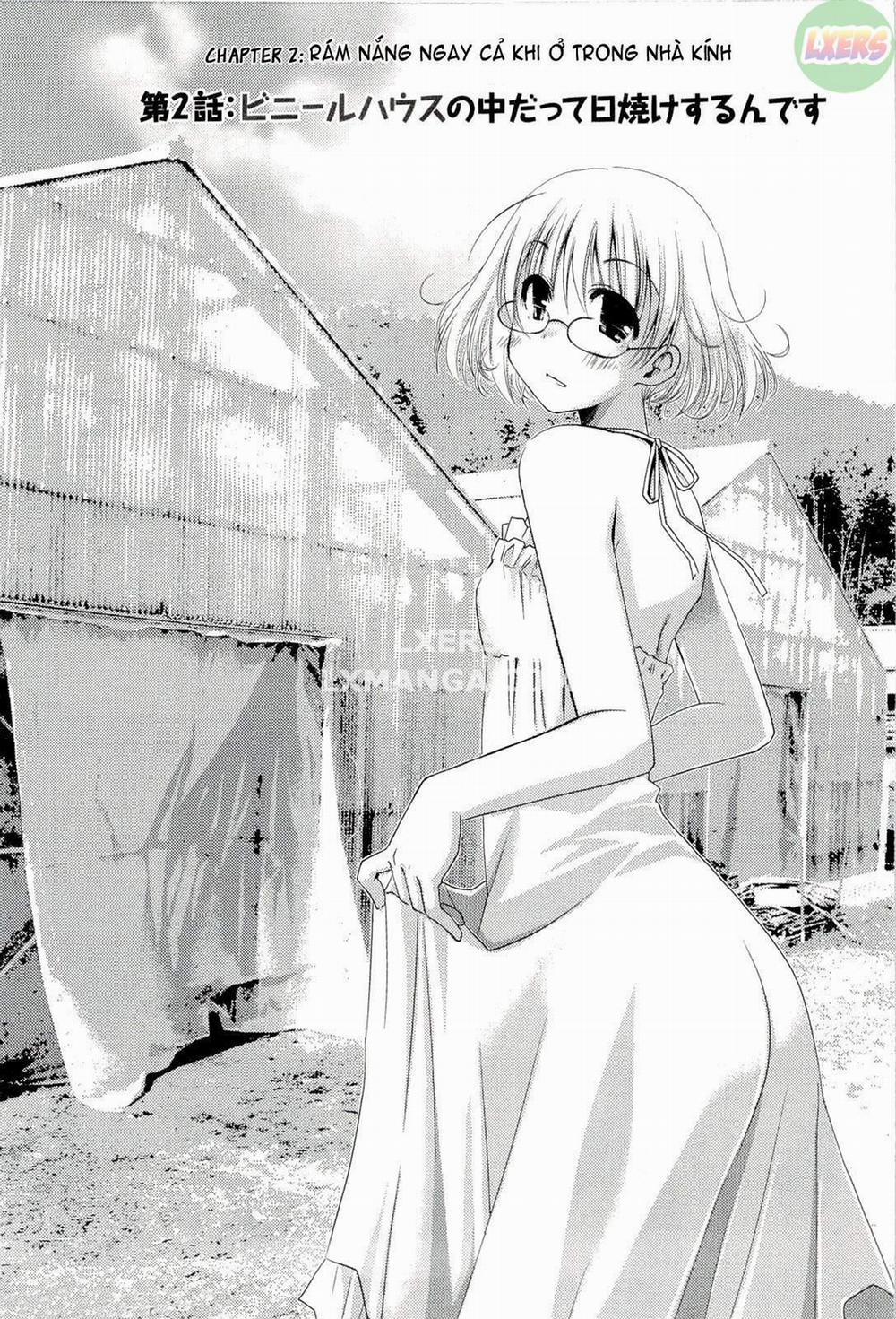 Colorful Harvest 2 trang 4