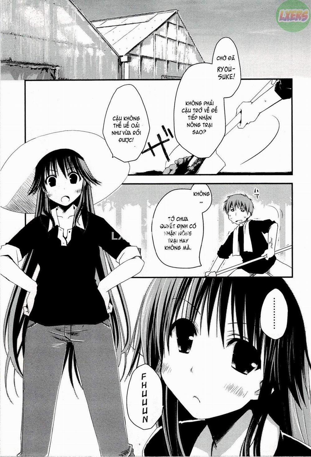 Colorful Harvest 2 trang 7