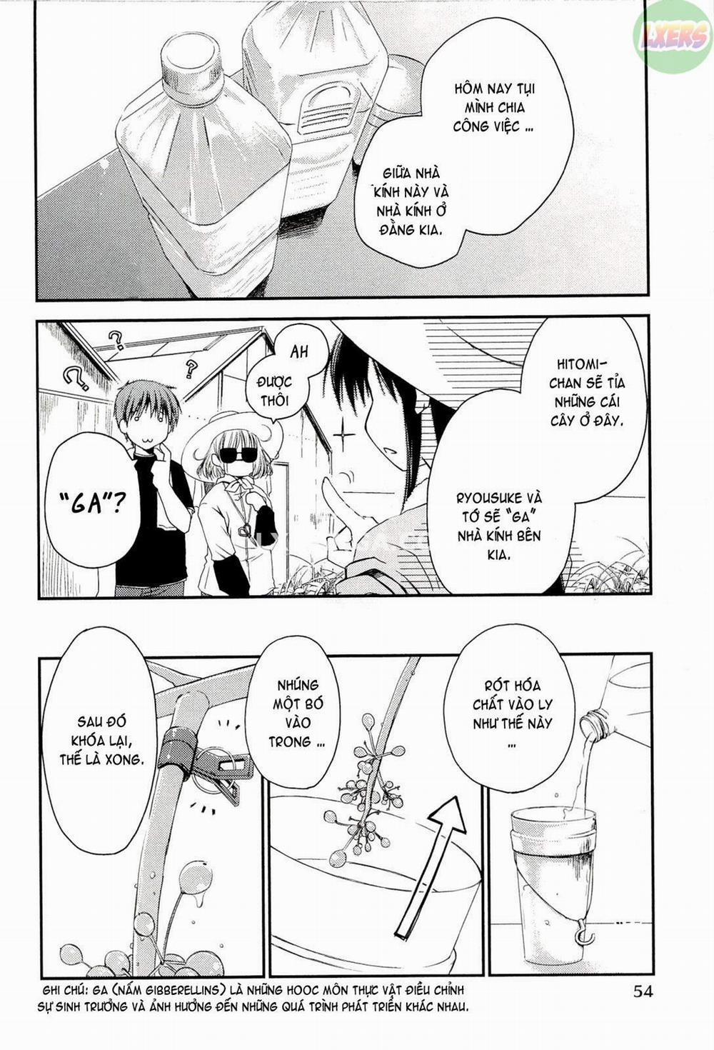 Colorful Harvest 3 trang 6