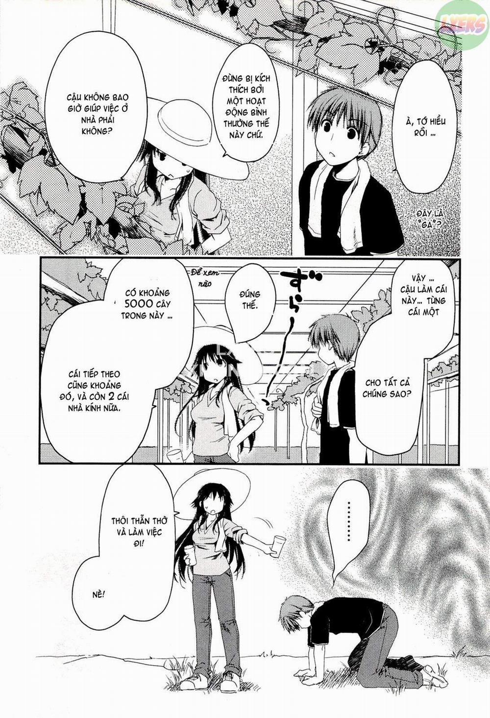 Colorful Harvest 3 trang 7