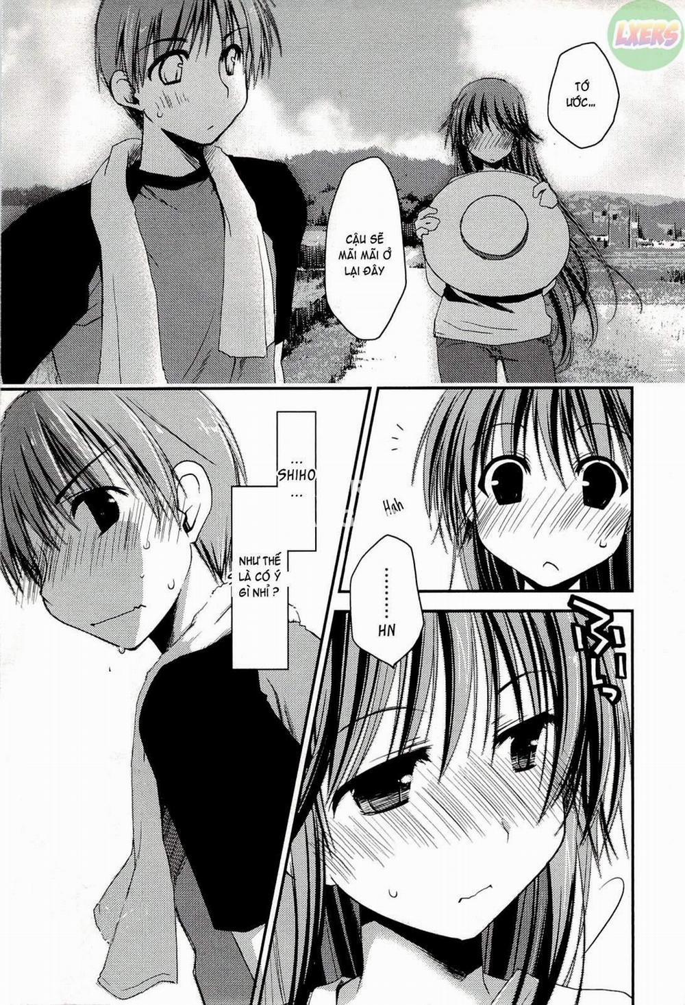 Colorful Harvest 5 trang 3