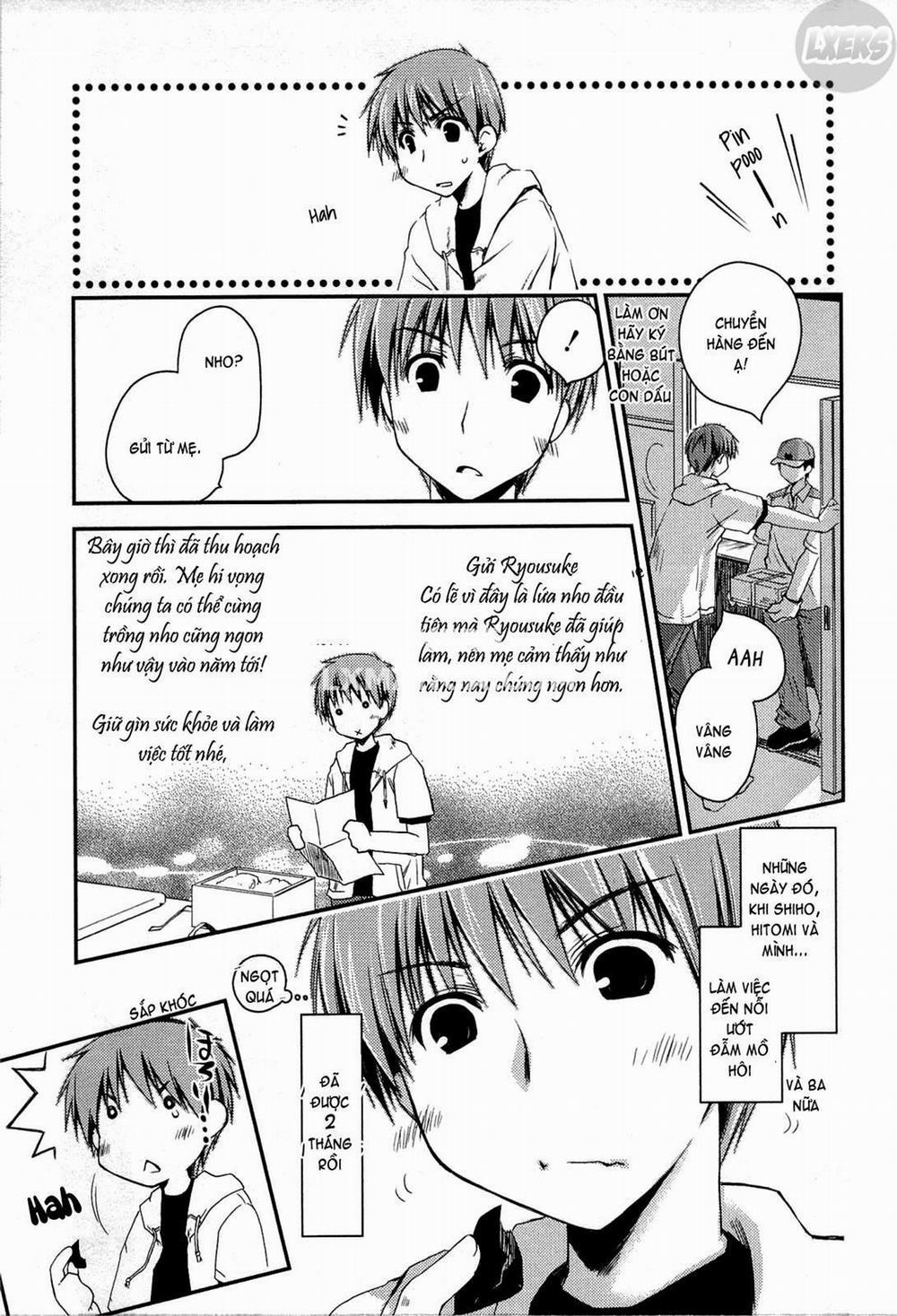 Colorful Harvest 7 trang 7