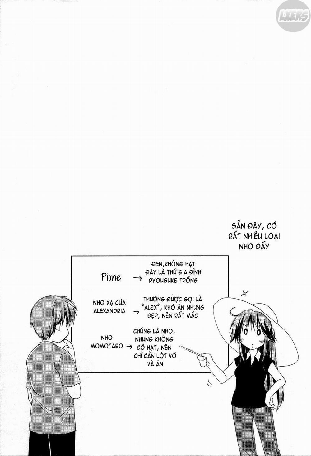 Colorful Harvest 8 END trang 27