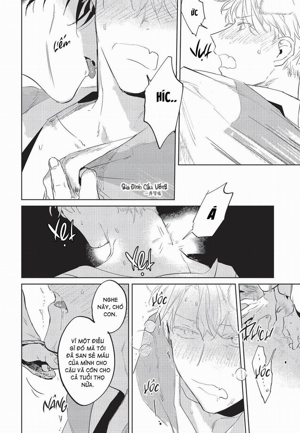 Con chó trung thành muốn cưỡi lên chủ nhân của mình 5 trang 18