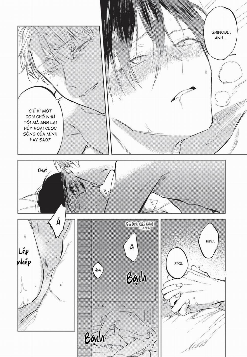 Con chó trung thành muốn cưỡi lên chủ nhân của mình 6 trang 31