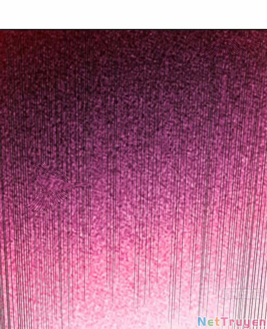 Con Của Ta Là Đại Lão 54 trang 11