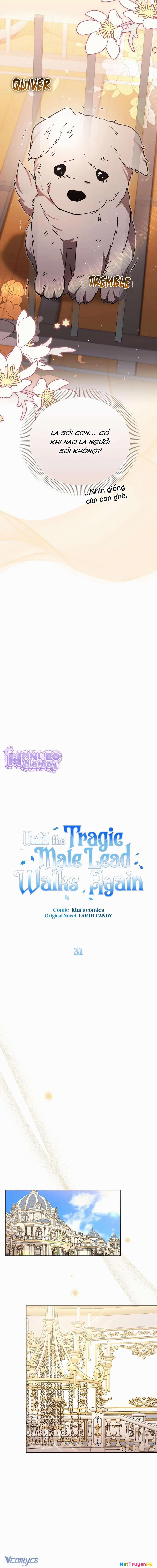 Con Đường Hoa Dành Cho Nam Chính 31 trang 10