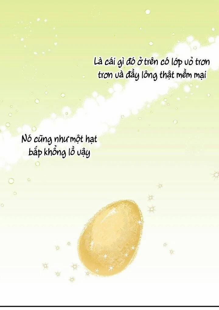 Con Gái Của Đại Pháp Sư 3 trang 13