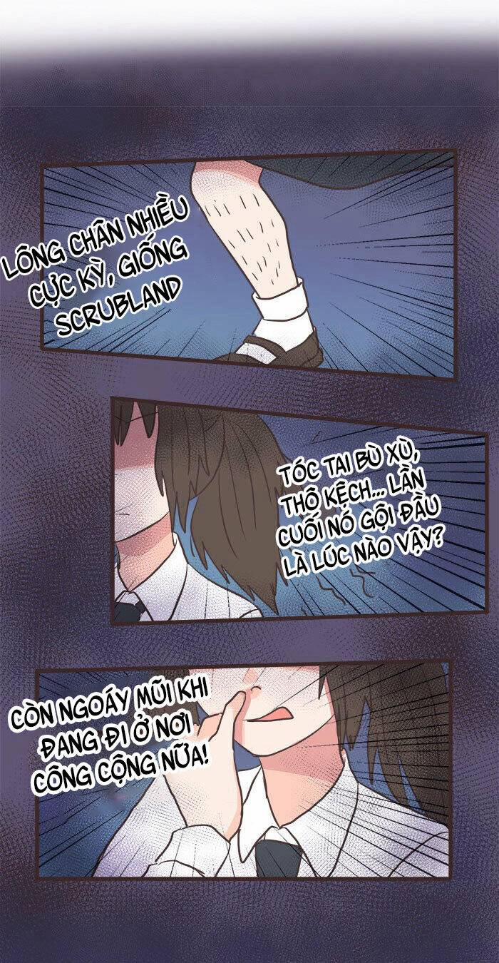 Con Gái Của Mafia 1 trang 5