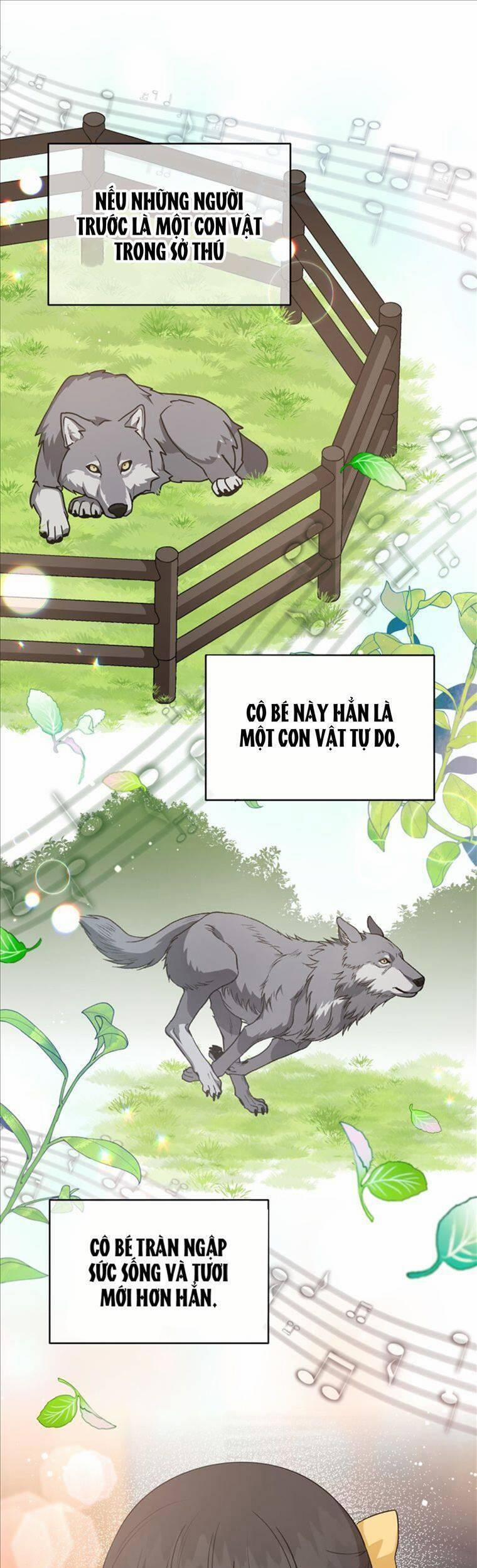 Con Gái Tôi Là Một Thiên Tài Âm Nhạc 62 trang 5