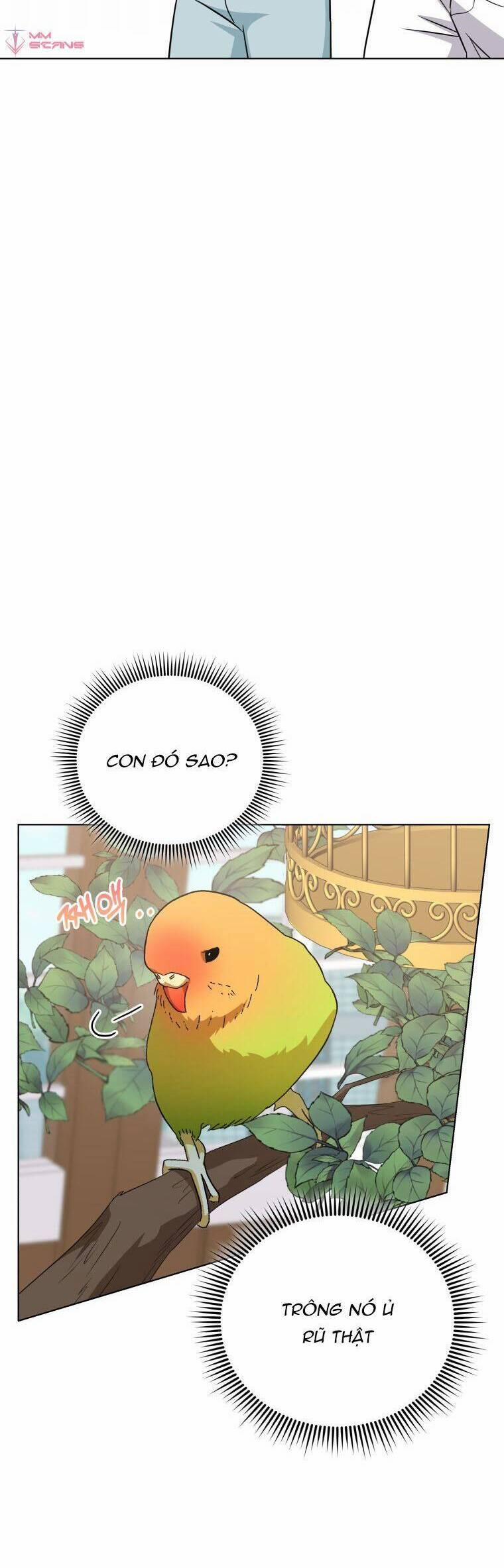 Con Gái Tôi Là Một Thiên Tài Âm Nhạc 64 trang 11