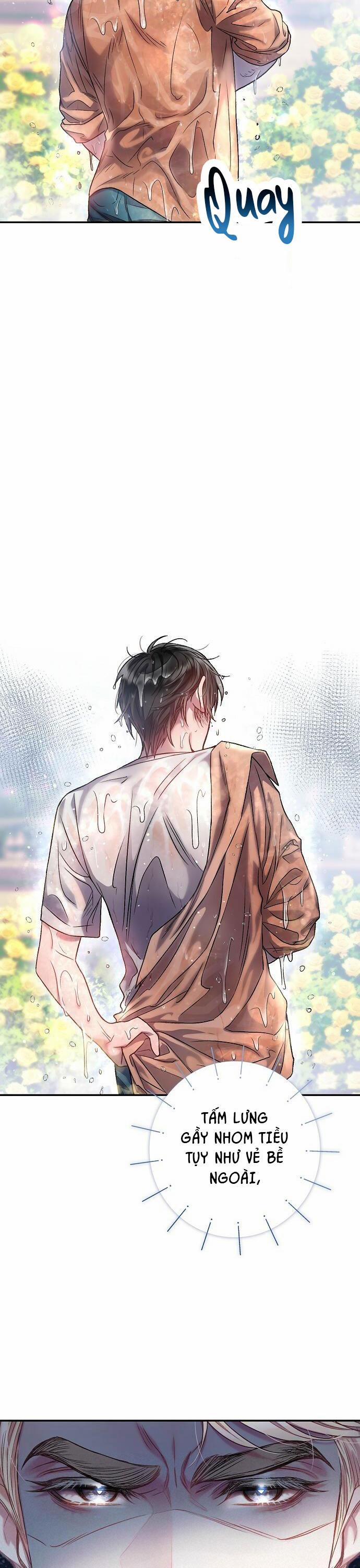 Cơn Mưa Ngọt Ngào 11 trang 19