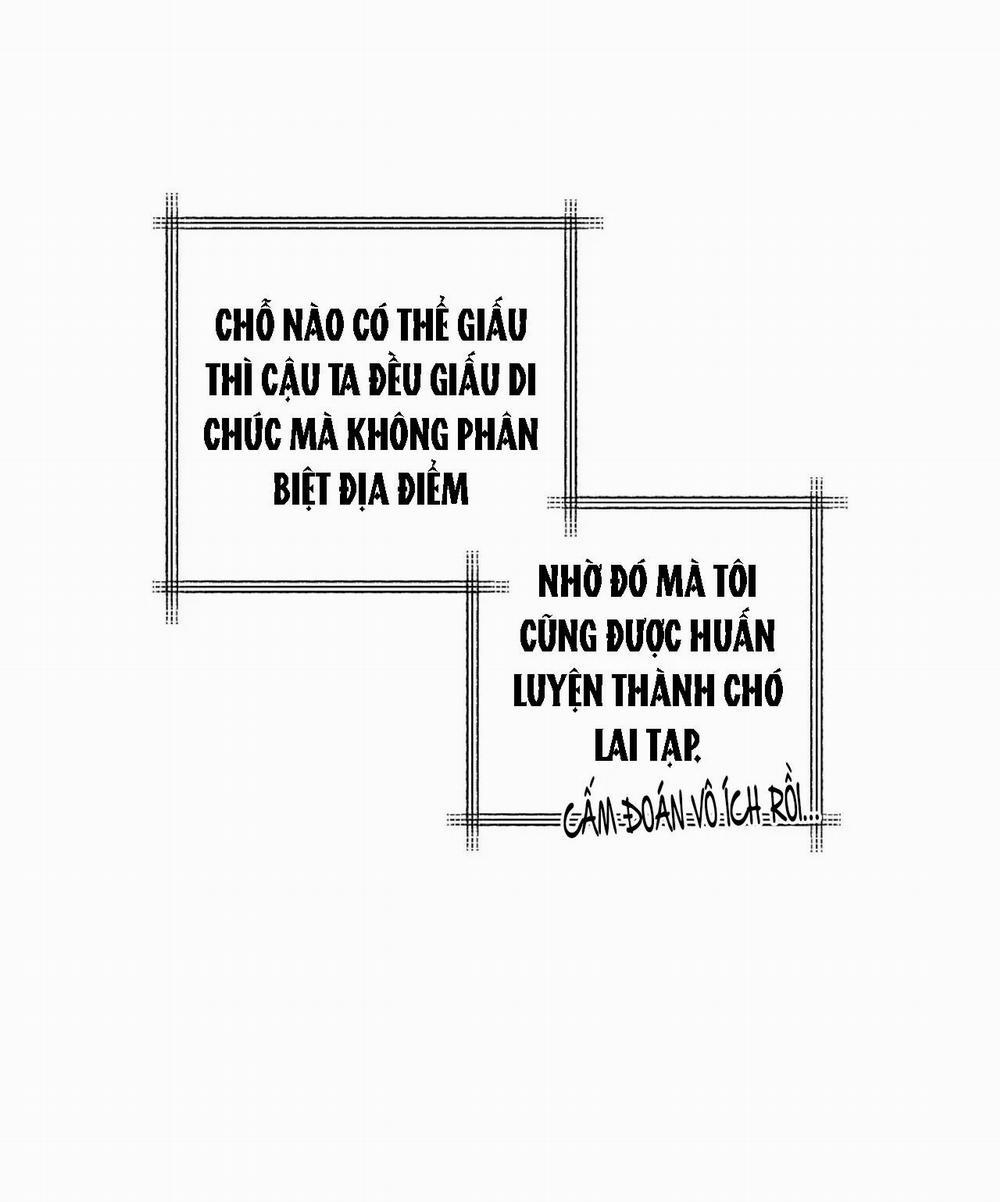 Cơn Mưa Rào Mùa Hạ 12 trang 15