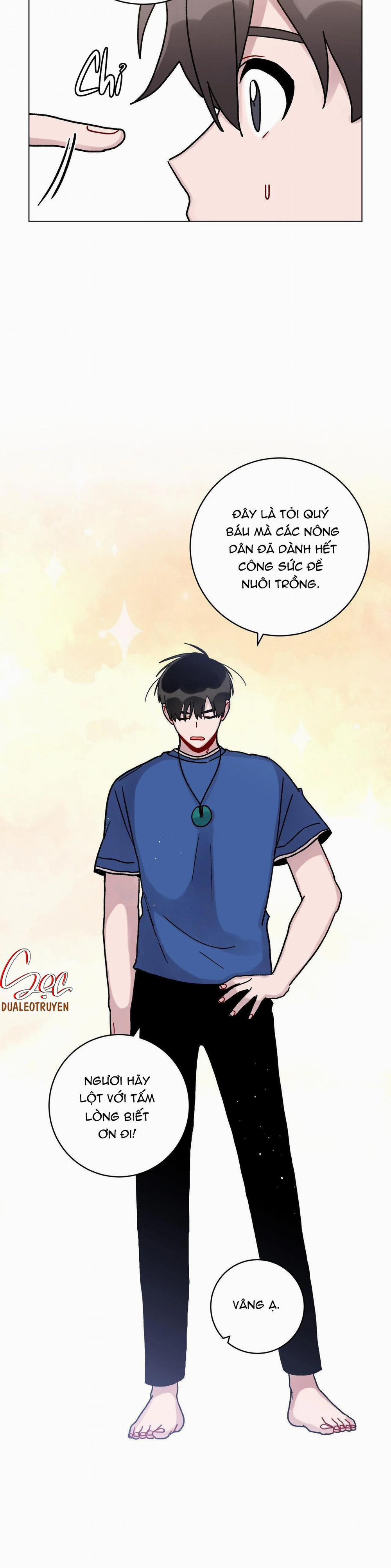 Cơn Mưa Rào Mùa Hạ 31 trang 11