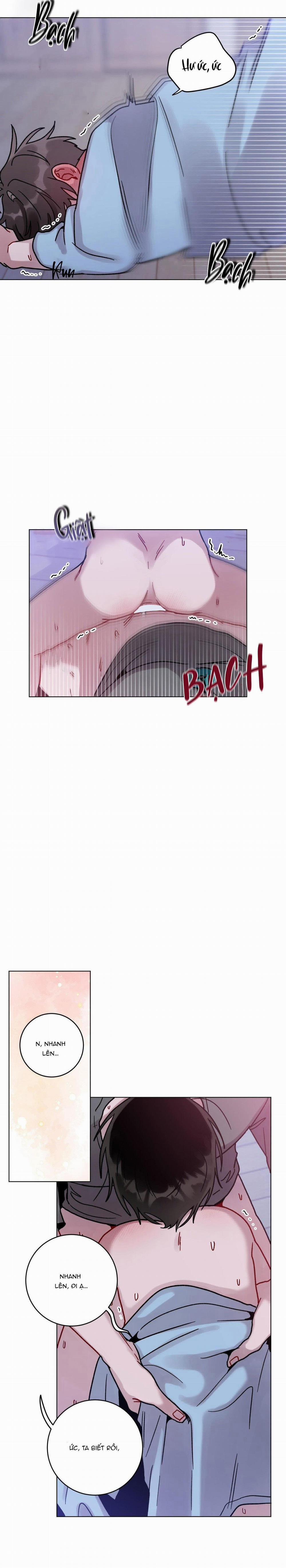 Cơn Mưa Rào Mùa Hạ 41 trang 5