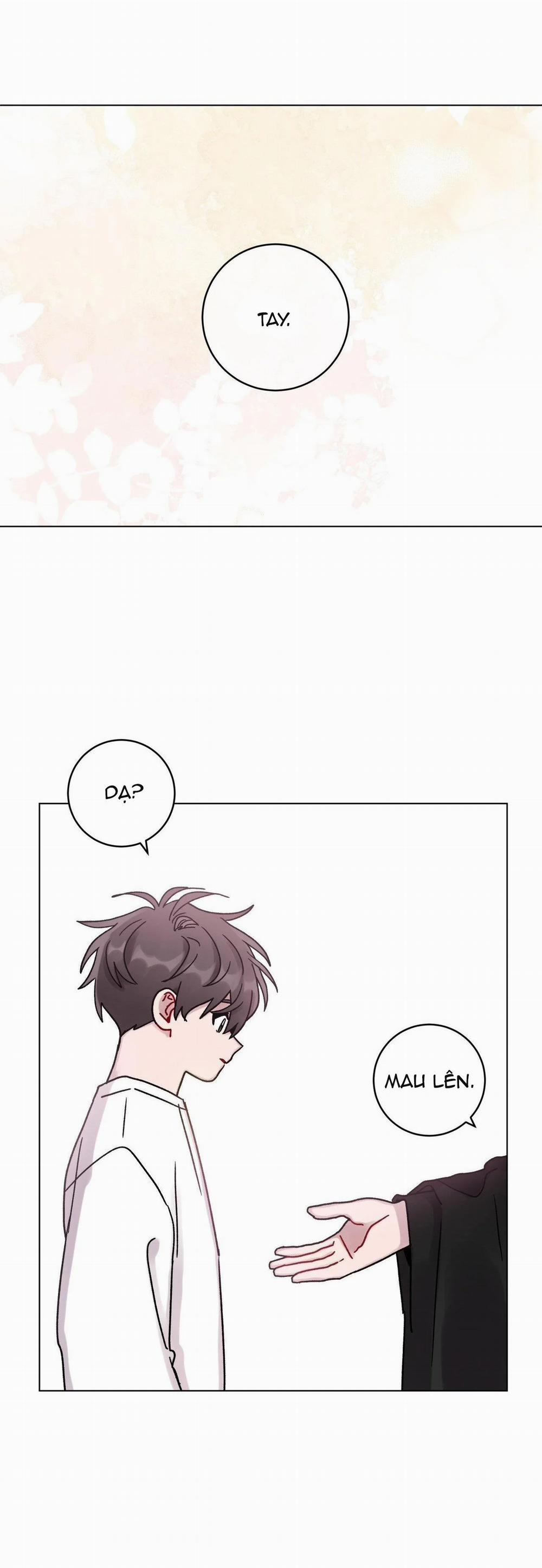 Cơn Mưa Rào Mùa Hạ 43 trang 13