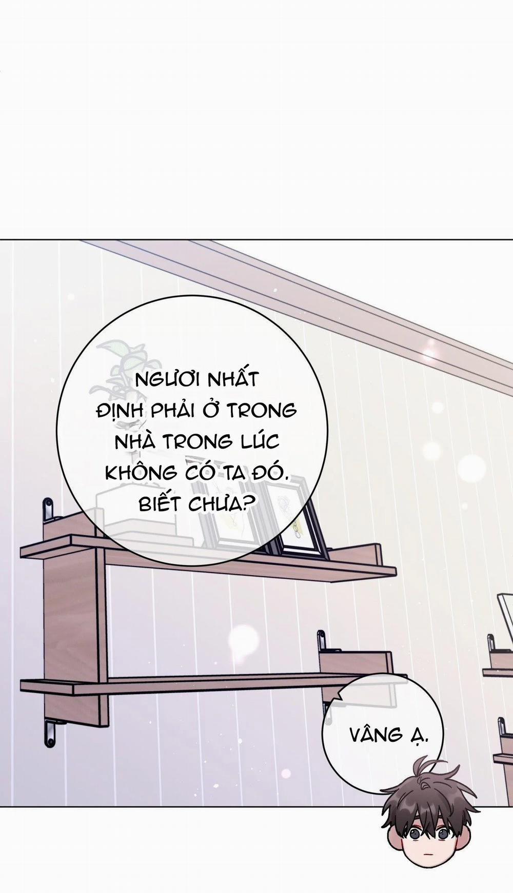 Cơn Mưa Rào Mùa Hạ 43 trang 16