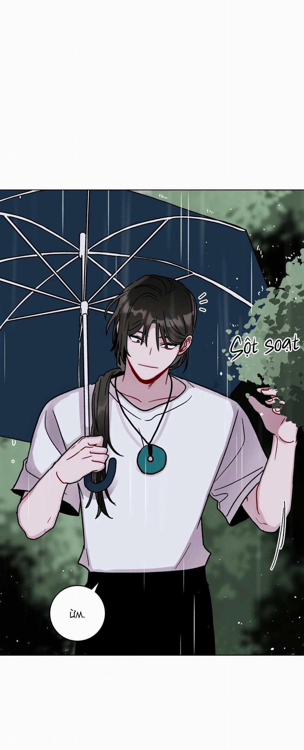 Cơn Mưa Rào Mùa Hạ 45 trang 47