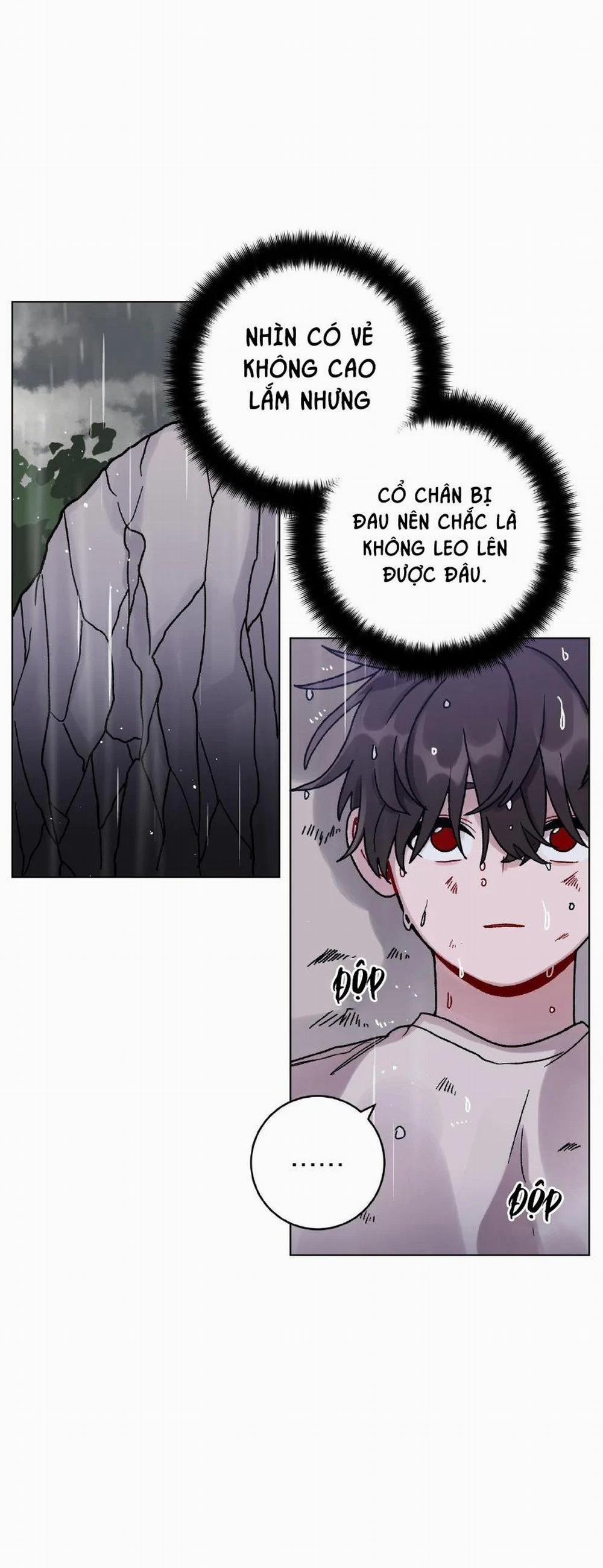 Cơn Mưa Rào Mùa Hạ 46 trang 6