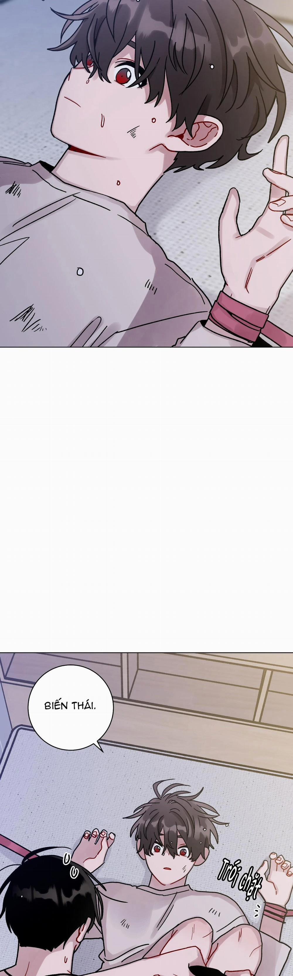 Cơn Mưa Rào Mùa Hạ 47 trang 22