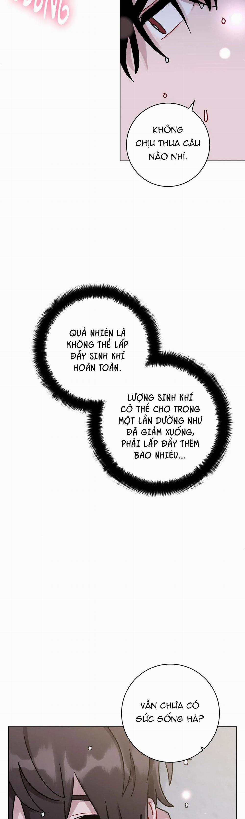 Cơn Mưa Rào Mùa Hạ 47 trang 6