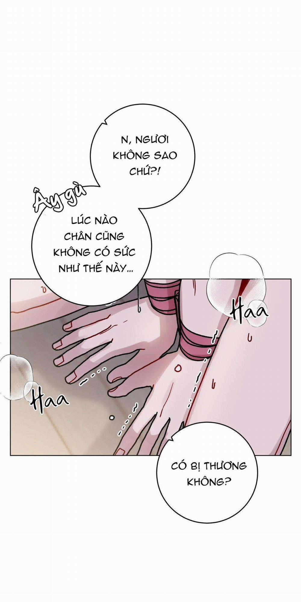 Cơn Mưa Rào Mùa Hạ 49 trang 14