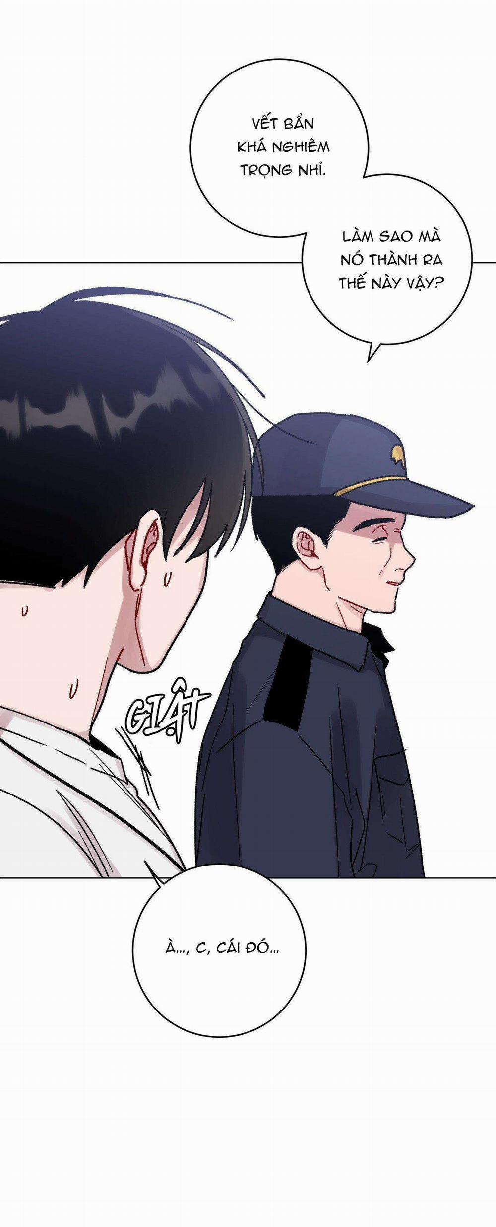 Cơn Mưa Rào Mùa Hạ 51 trang 11