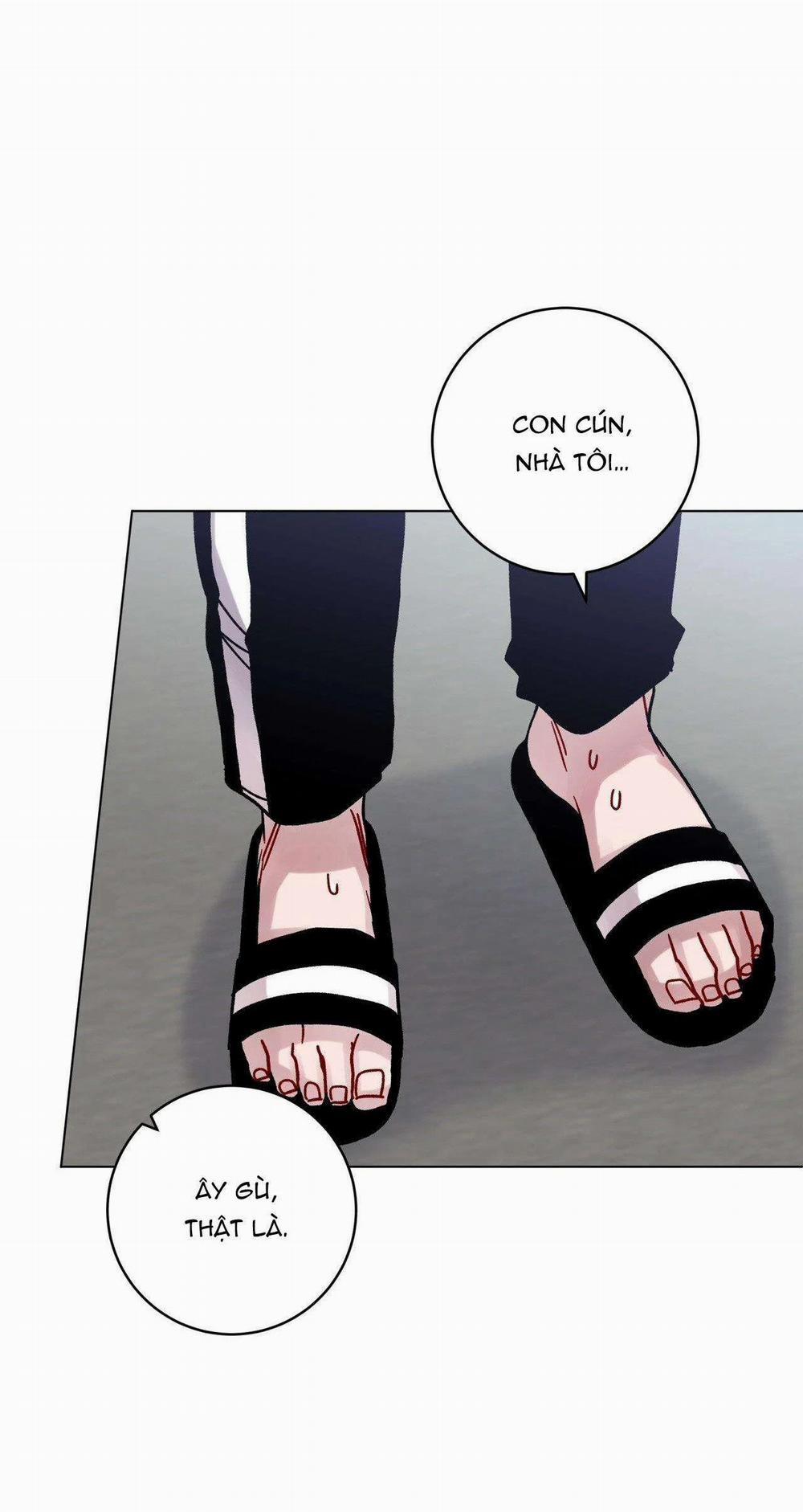 Cơn Mưa Rào Mùa Hạ 51 trang 12