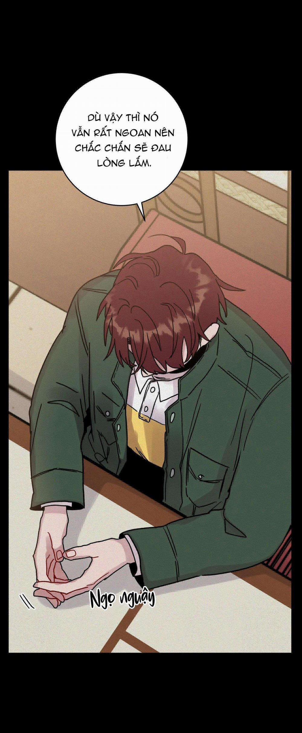 Cơn Mưa Rào Mùa Hạ 54 trang 22