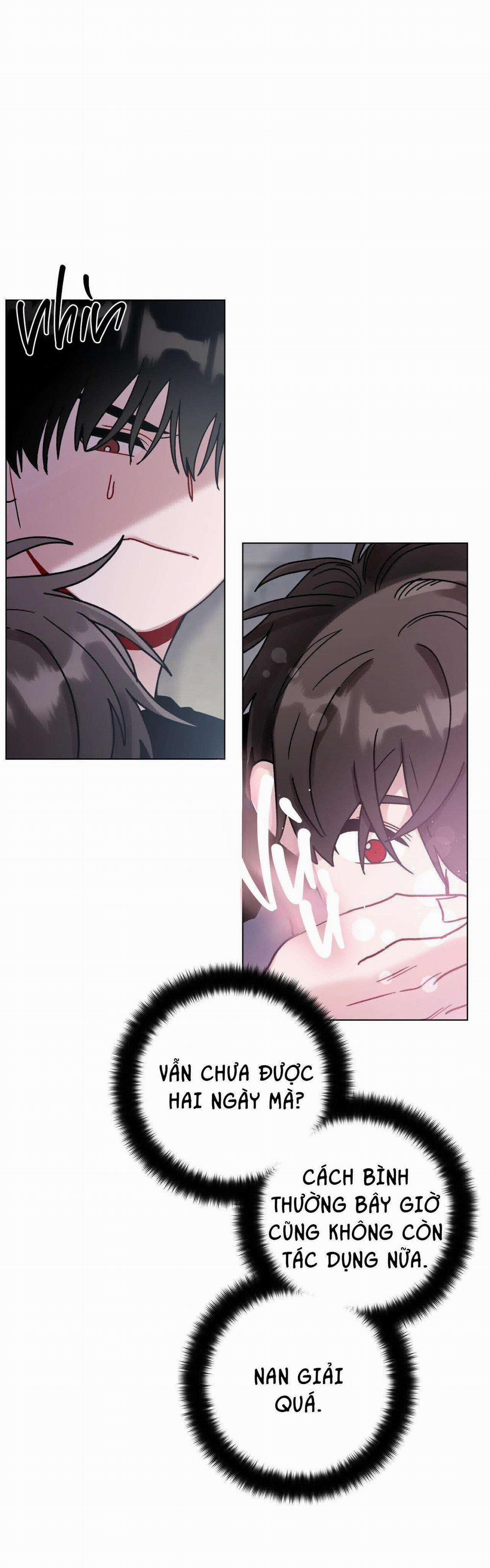 Cơn Mưa Rào Mùa Hạ 56 trang 22