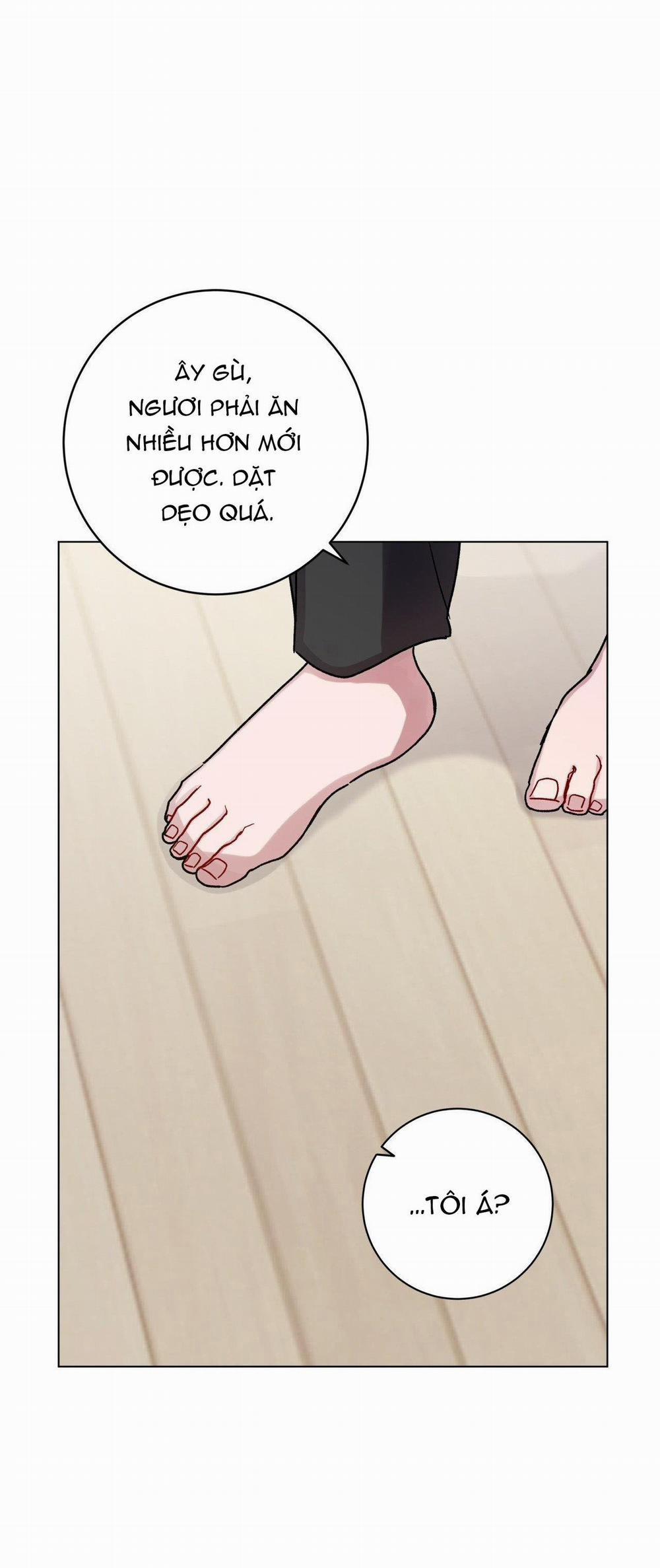 Cơn Mưa Rào Mùa Hạ 69 trang 14