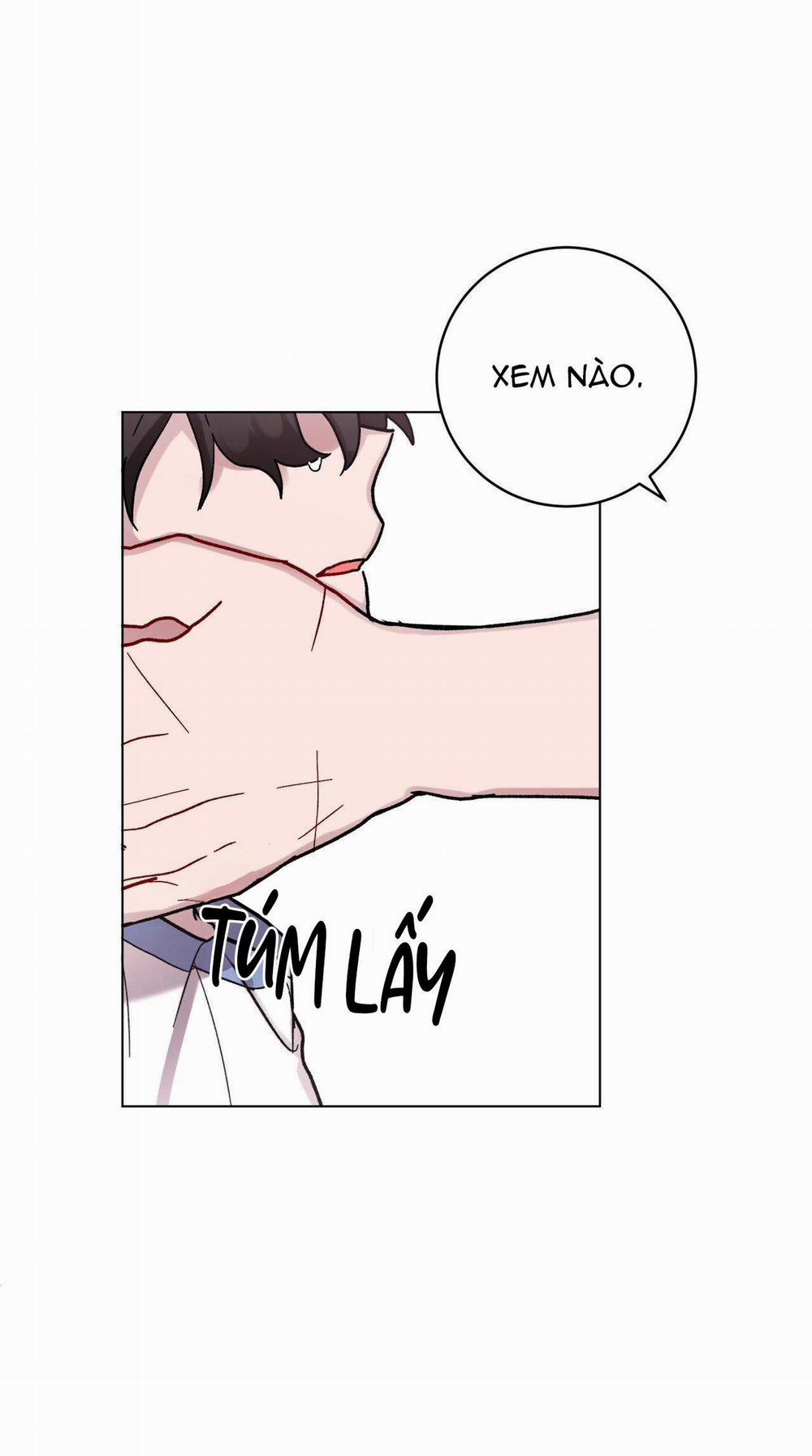 Cơn Mưa Rào Mùa Hạ 69 trang 15