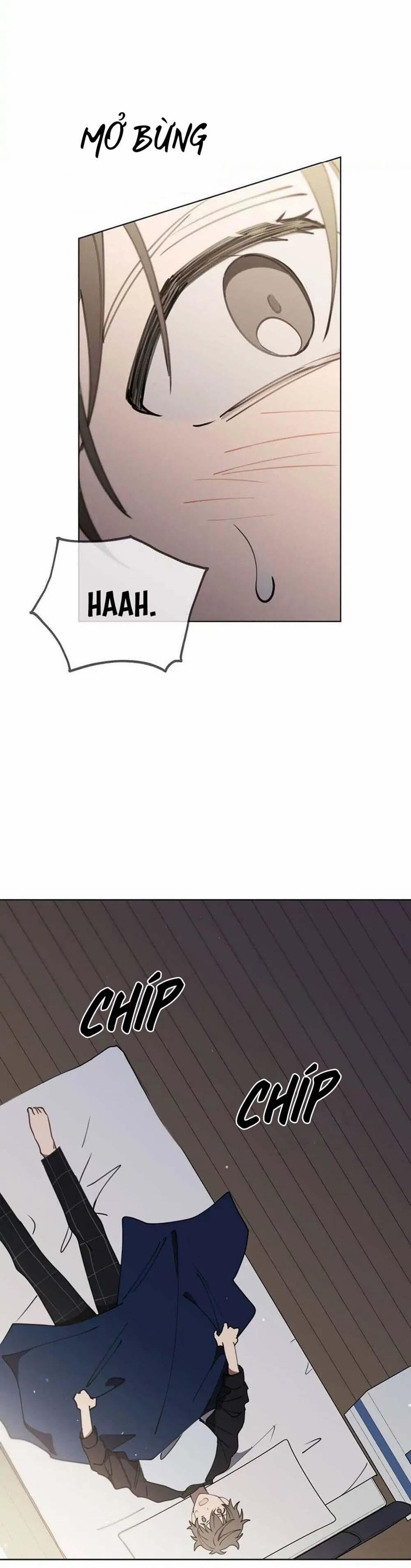 Cơn Mưa Rào 18 trang 12