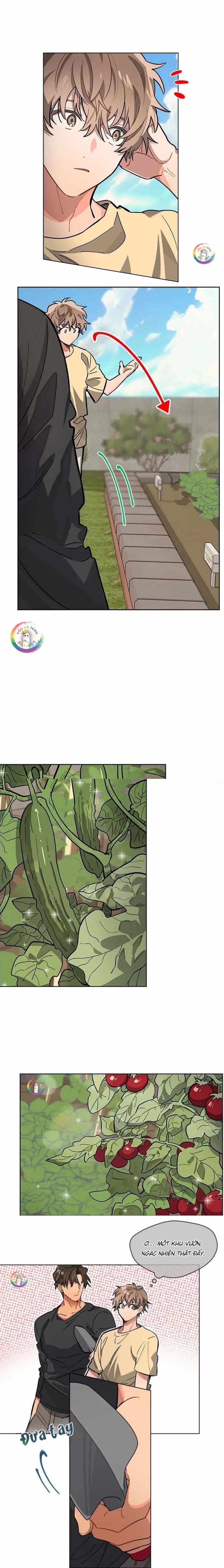 Cơn Mưa Rào 23 trang 7