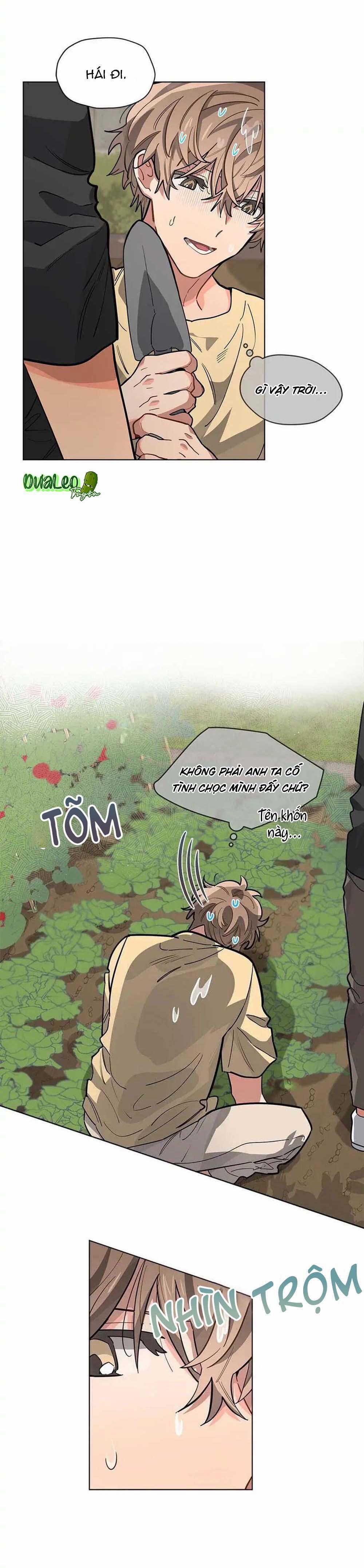 Cơn Mưa Rào 24 trang 1