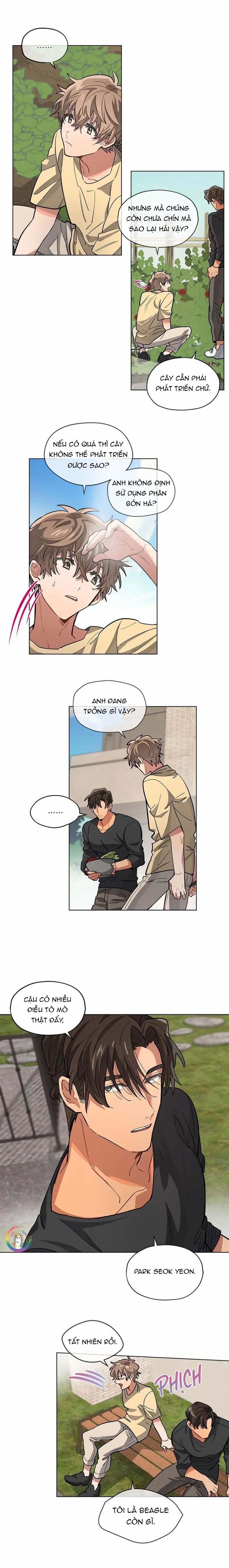 Cơn Mưa Rào 24 trang 3