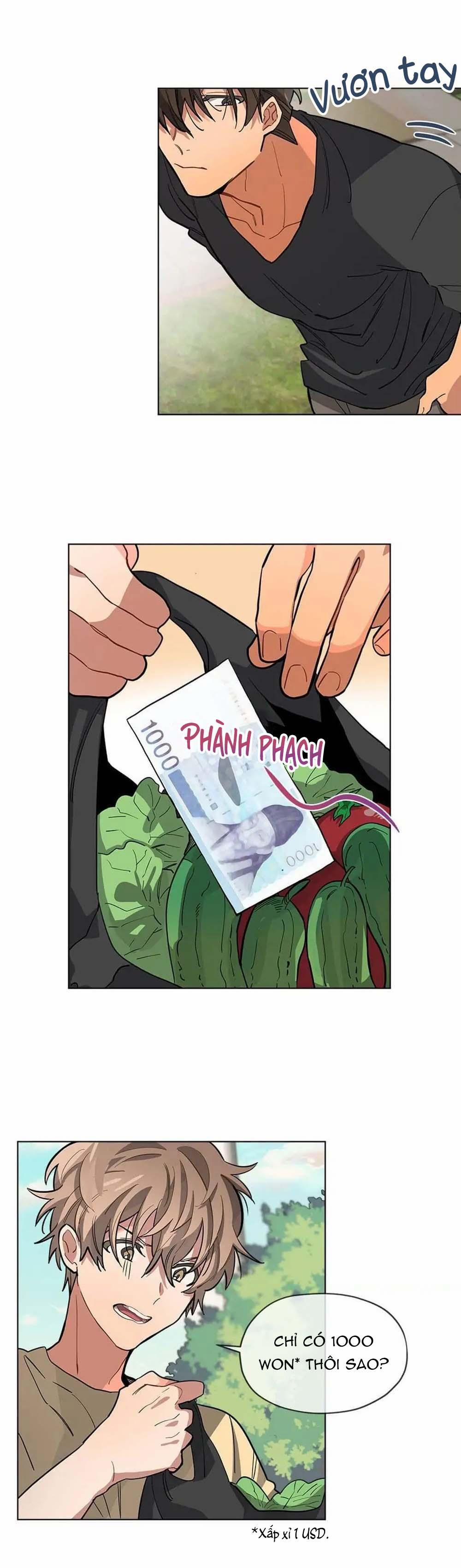 Cơn Mưa Rào 24 trang 9