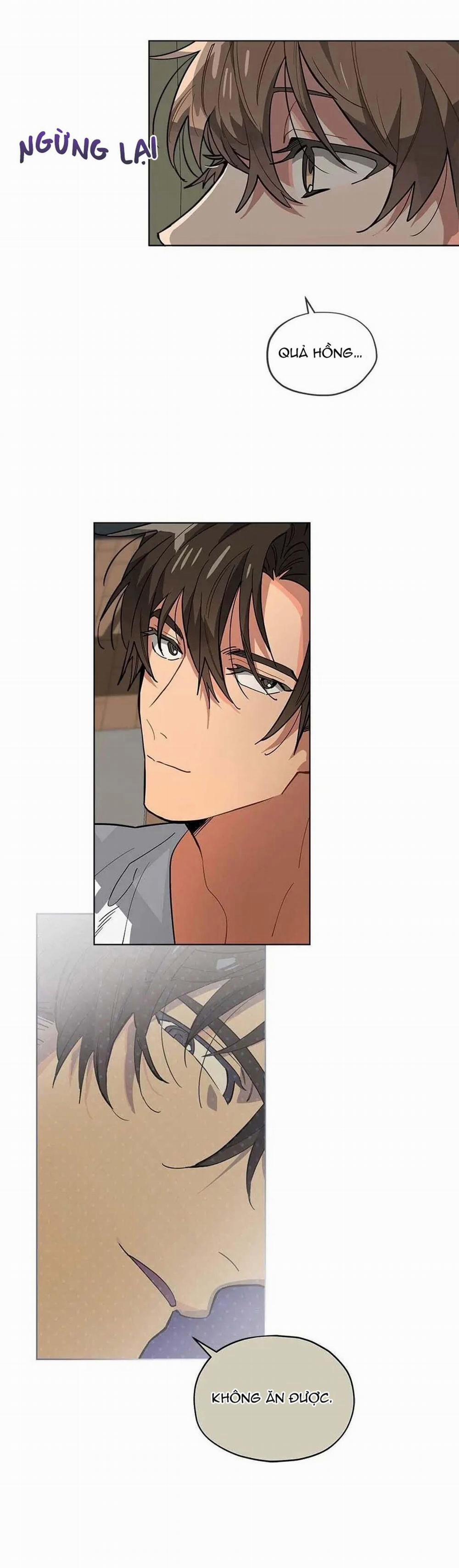 Cơn Mưa Rào 29 trang 11