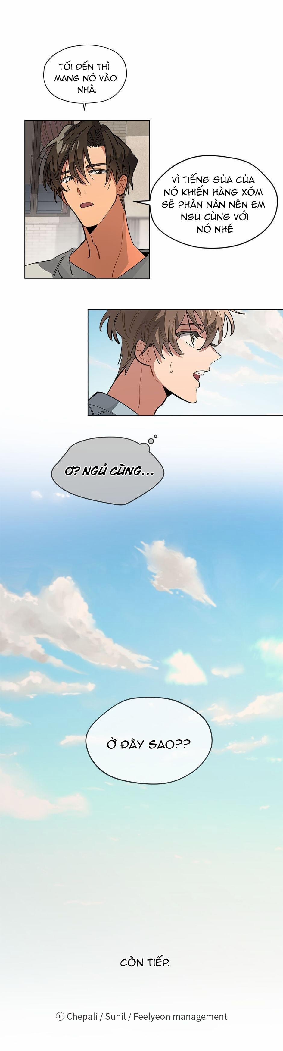 Cơn Mưa Rào 31 trang 24