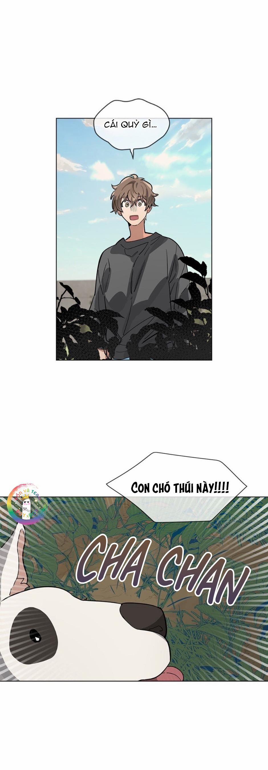 Cơn Mưa Rào 33 trang 11