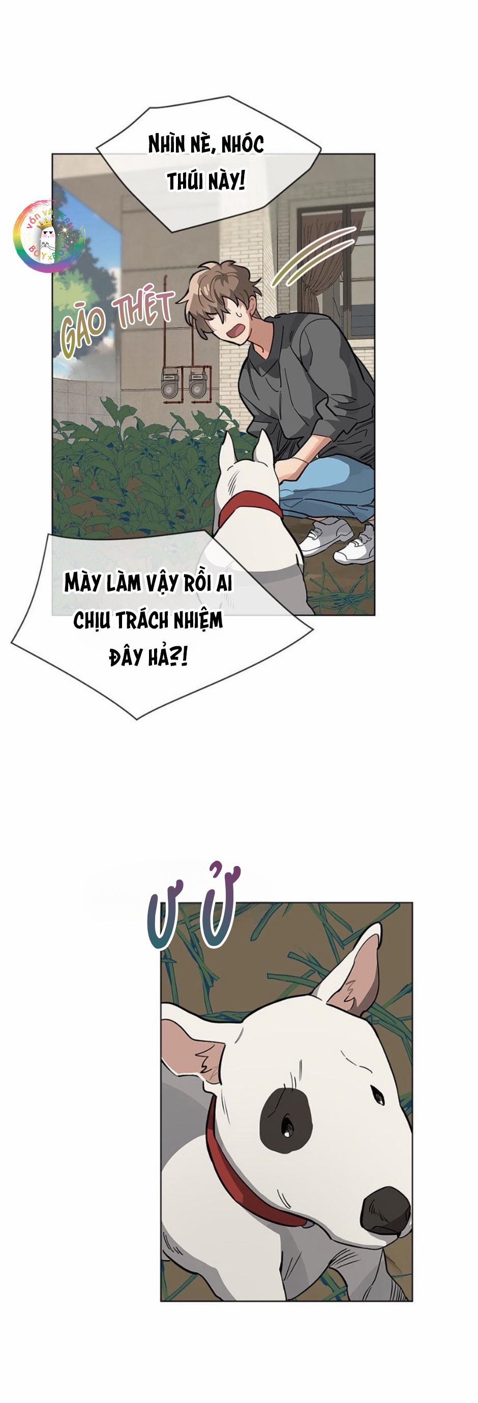 Cơn Mưa Rào 33 trang 12